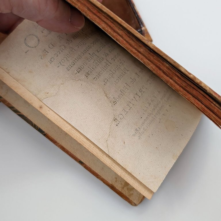 THEOPHRASTE. Des Odeurs | Immagine Gallery 12