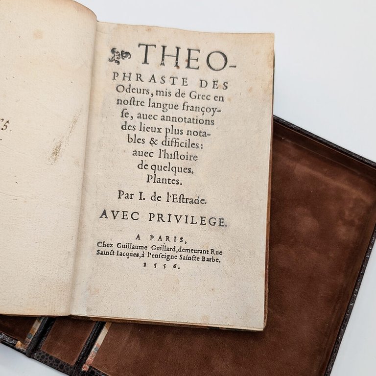 THEOPHRASTE. Des Odeurs | Immagine Gallery 13