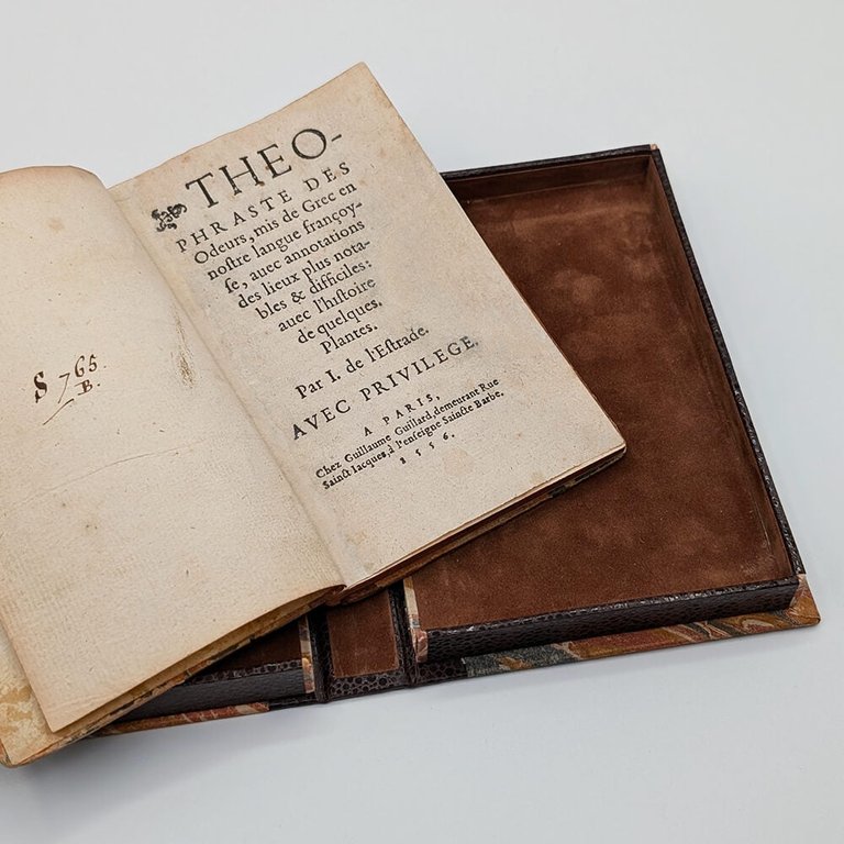 THEOPHRASTE. Des Odeurs | Immagine Gallery 2