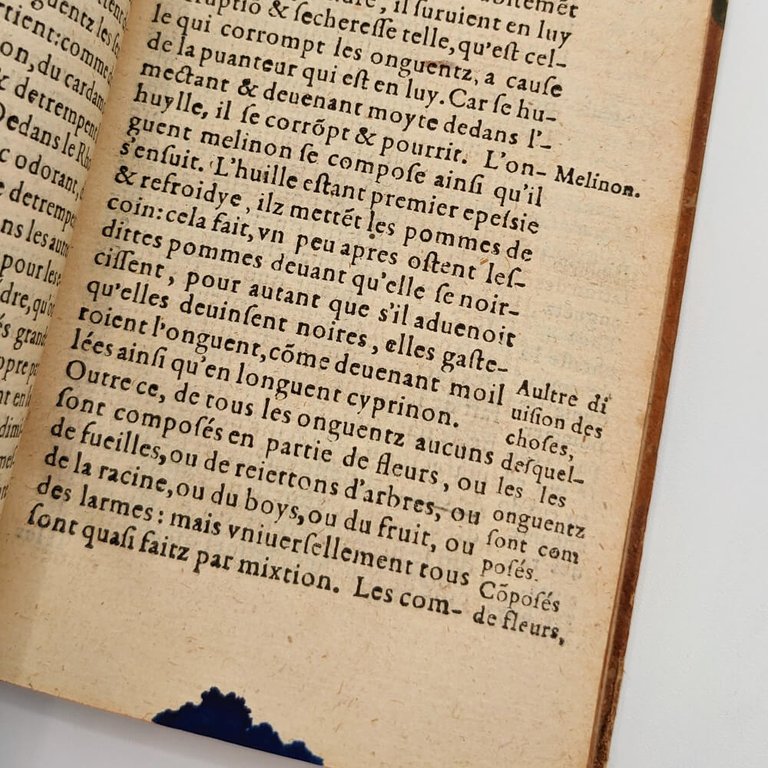 THEOPHRASTE. Des Odeurs | Immagine Gallery 5