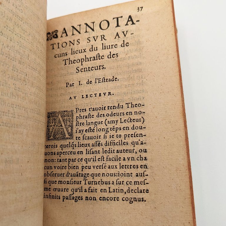 THEOPHRASTE. Des Odeurs | Immagine Gallery 6