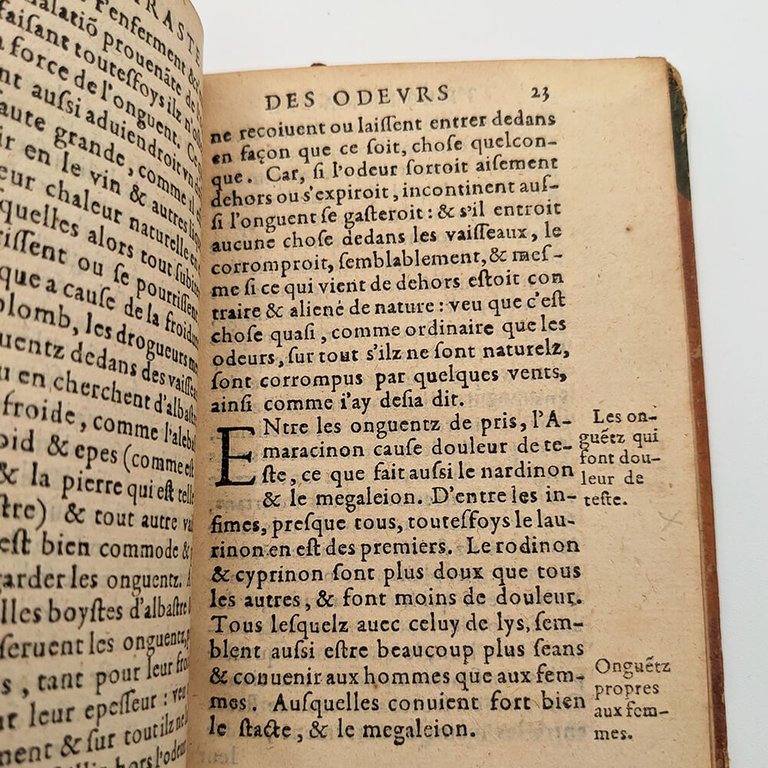 THEOPHRASTE. Des Odeurs | Immagine Gallery 8