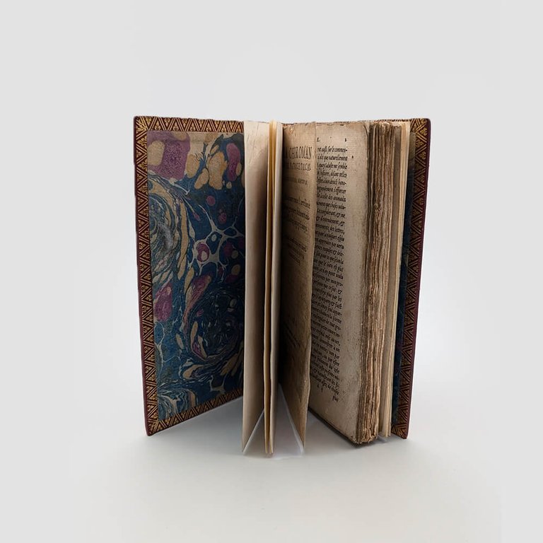 TRICASSE Patrice. La Chiromance de Patrice Tricasse | Immagine Gallery 5