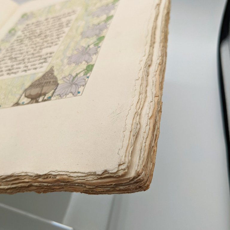 UZANNE Octave - CARUCHET Henri. Voyage autour de sa chambre | Immagine Gallery 12