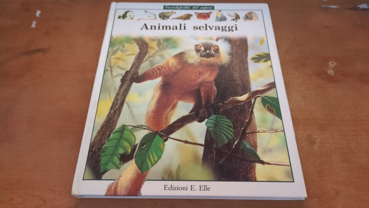 Animali selvaggi n8- Elle 1993 | Immagine principale