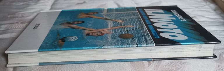 " CONOSCERE IL NUOTO, PALLANUOTO - TUFFI - NUOTO SINCONIZZATO … | Immagine Gallery 2