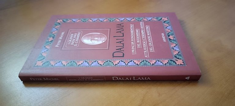 Dalai Lama - Michel 2001 | Immagine Gallery 4