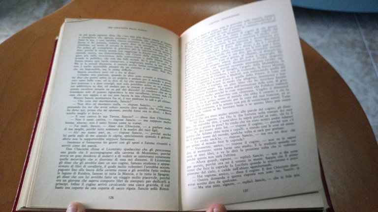Don Chisciotte parte seconda - Cervantes 1973 | Immagine Gallery 4