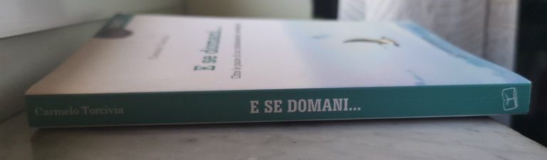 " E SE DOMANI..." - CARMELO TORCIVIA, 2013 | Immagine Gallery 4
