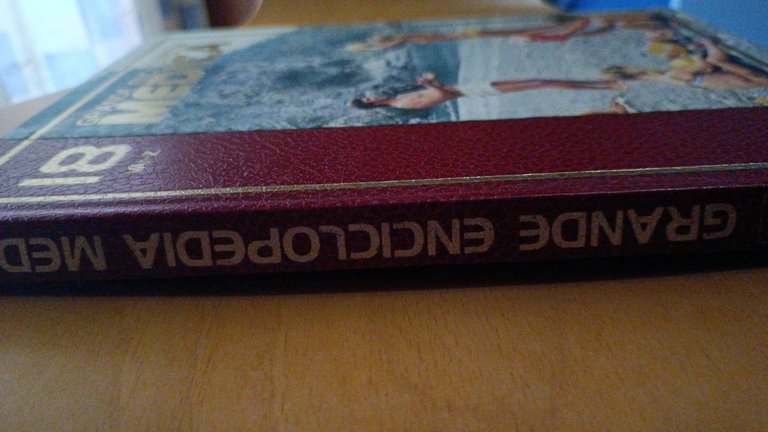 Grande enciclopedia medica 18 curcio | Immagine Gallery 3