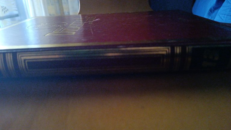Guida didattica scuola 16 botanica zoologia 1995 | Immagine Gallery 3