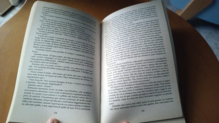 Il labirinto - Terry Brooks 2003 | Immagine Gallery 4