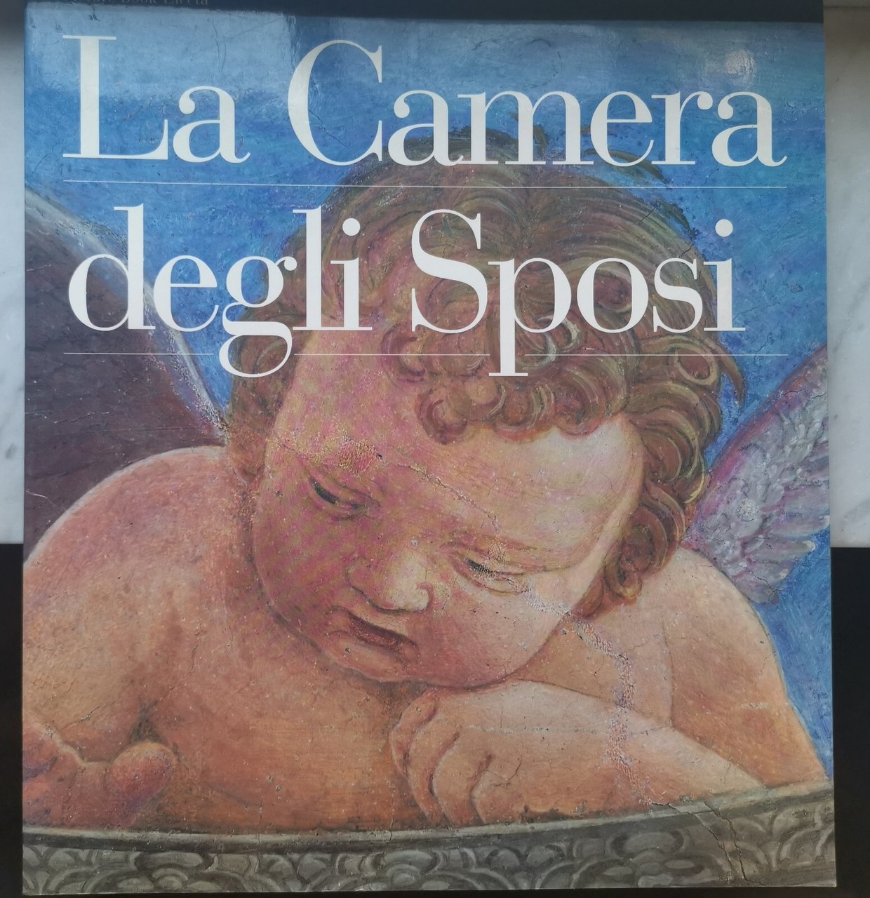 " LA CAMERA DEGLI SPOSI " - PICTURE BOOK ELECTA, … | Immagine principale