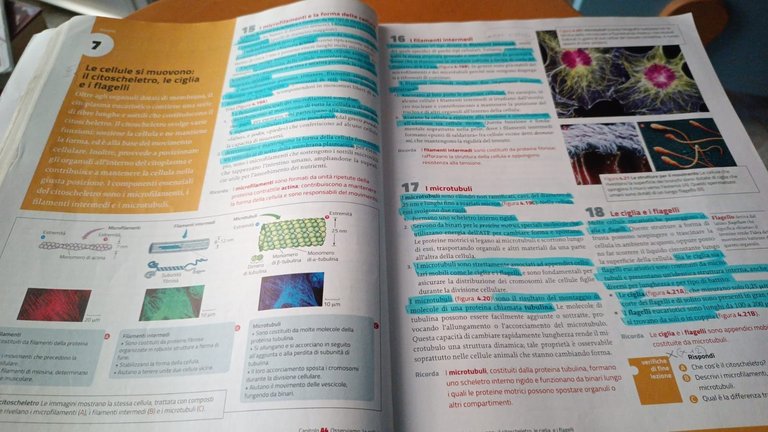 La nuova biologia PLUS Zanichelli 2022 | Immagine Gallery 4