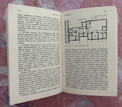 "POMPEI VITA PUBBLICA DI UN'ANTICA CITTA'"- Romolo A. Staccioli,1979 | Immagine Gallery 3