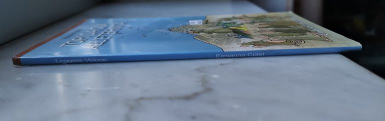 " TOPI DA QUI ALL'ETERNITA'" - ERMANNO CORSI,2009 | Immagine Gallery 3