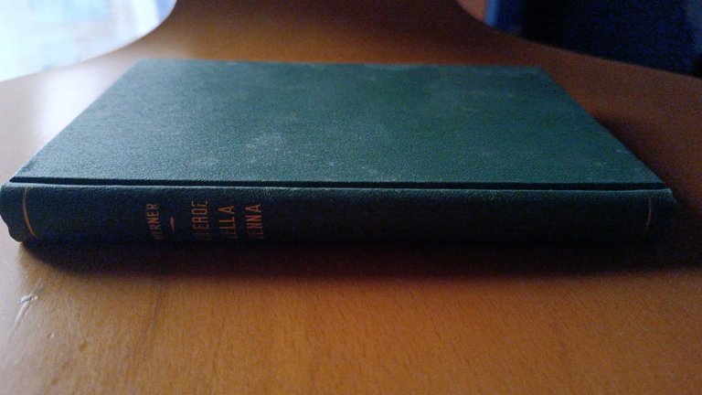 Un eroe della penna - Werner 1896 | Immagine Gallery 3