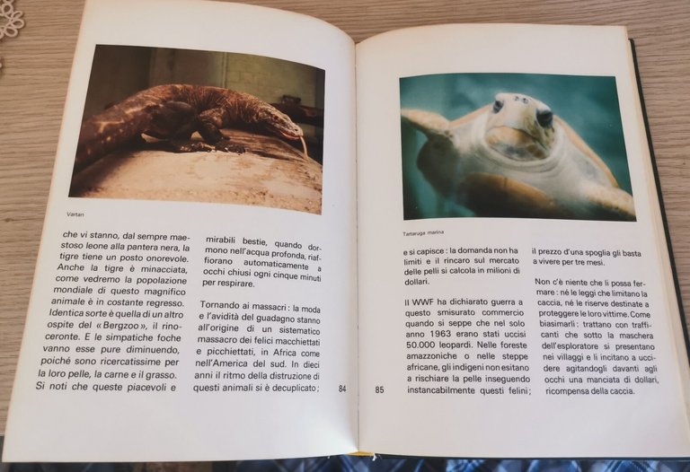 " ZOO SVIZZERI " - Philippe Gindraux, 1971 | Immagine Gallery 5