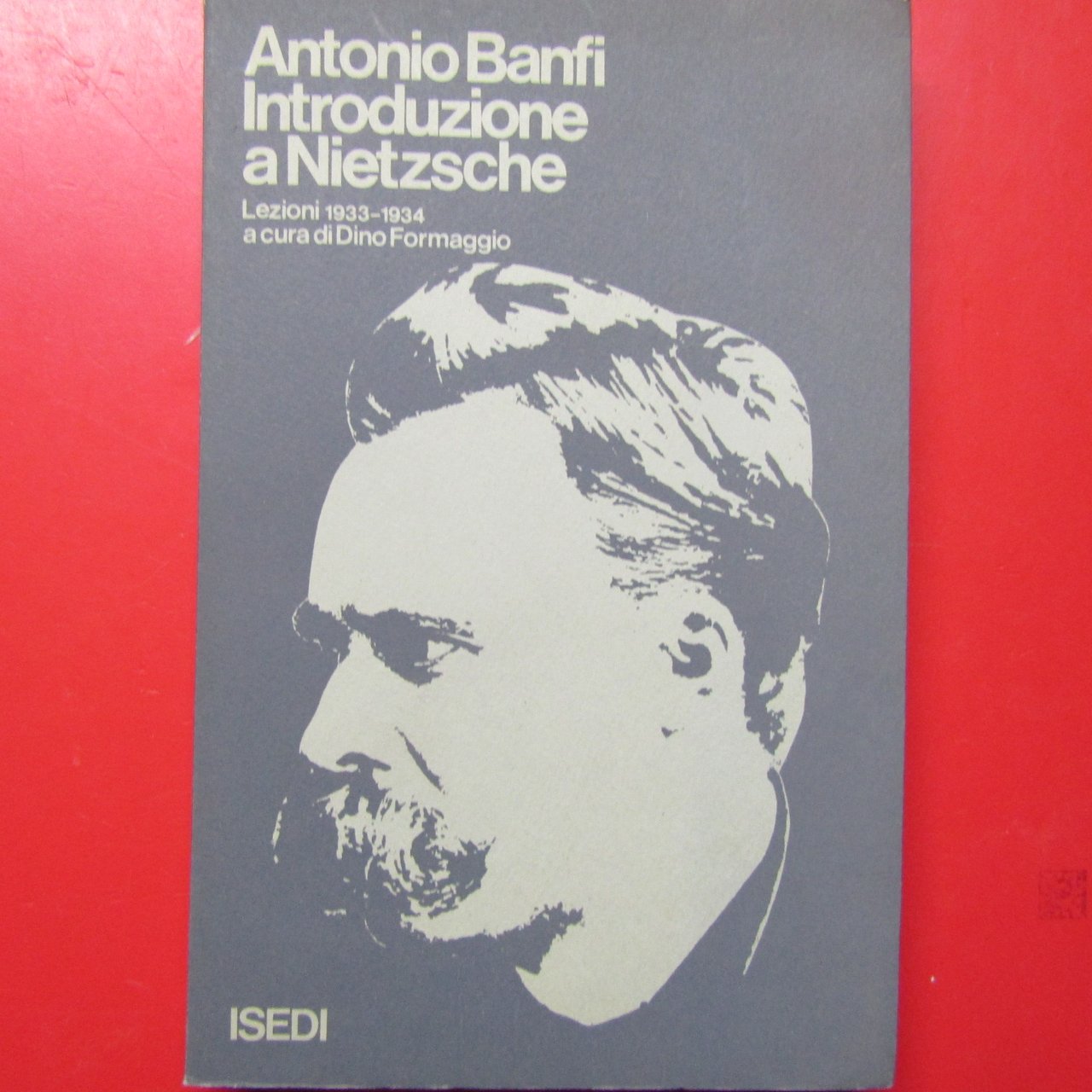 Introduzione a Nietzsche