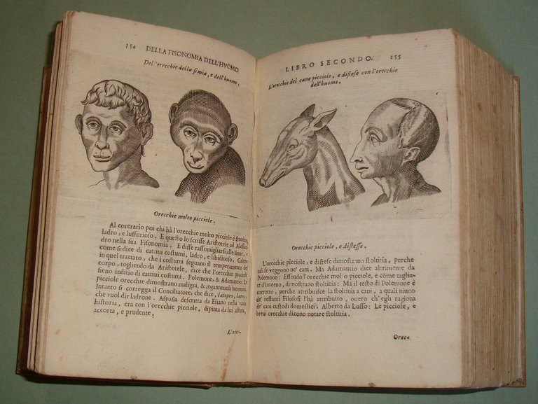 La Fisonomia dell'Huomo et la Celeste. Libri Sei. Tradotti di …