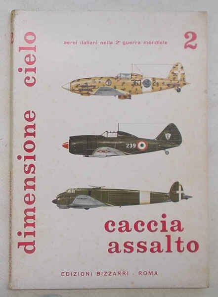 Caccia assalto. 2. (Aerei italiani nella 2^ guerra mondiale)