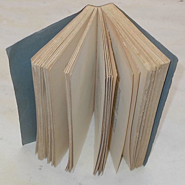 La neutralità italiana 1914. Ricordi e pensieri.