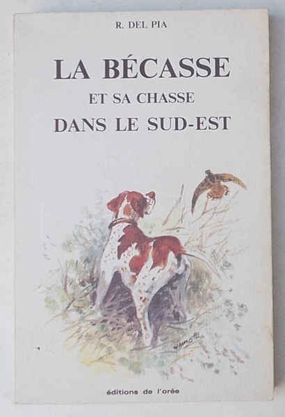 La bécasse et sa chasse dans le sud-est.