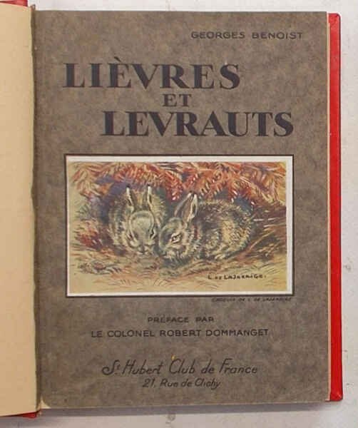 Lièvres et levrauts.