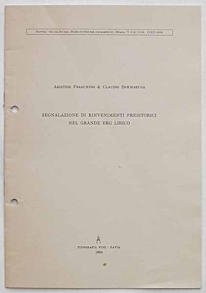 Segnalazione di rinvenimenti preistorici nel Grande Erg libico.