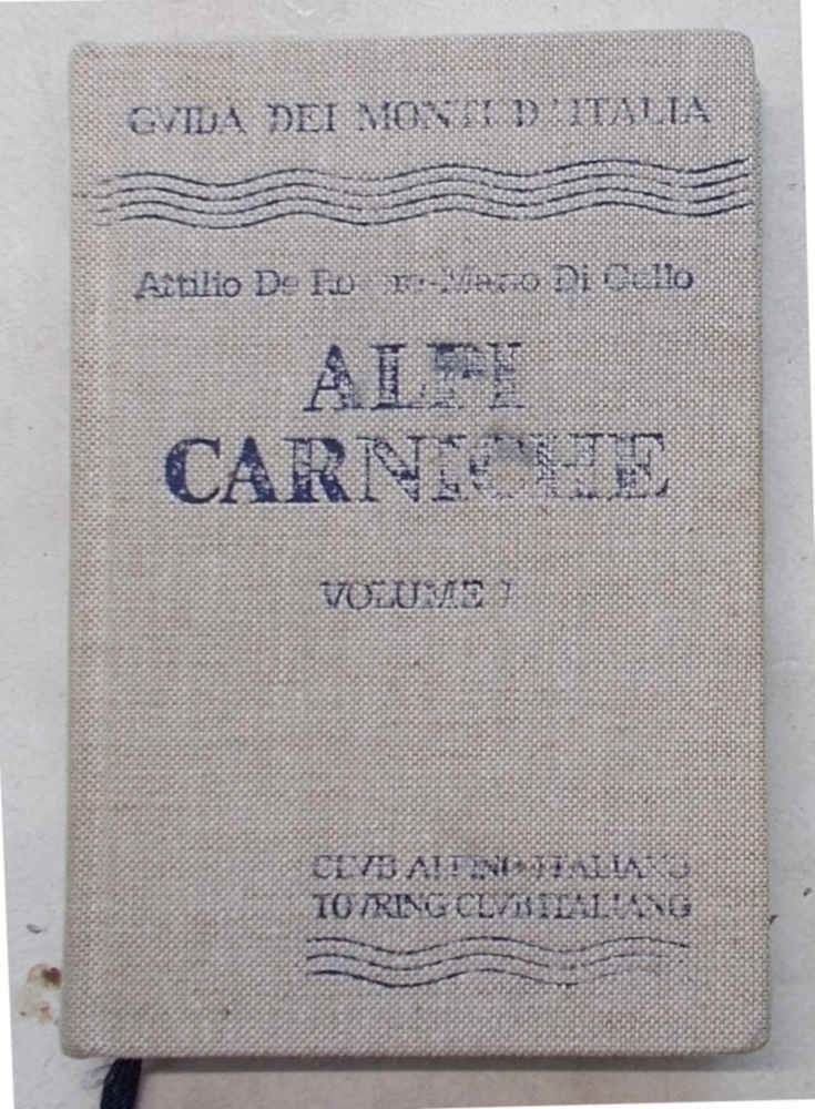 Alpi Carniche. Volume I. | Immagine principale