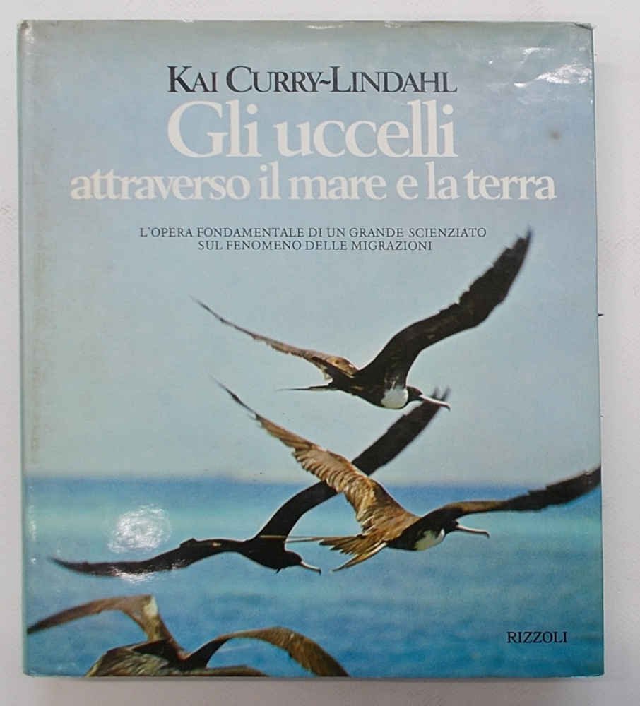 Gli uccelli attraverso il mare e la terra.