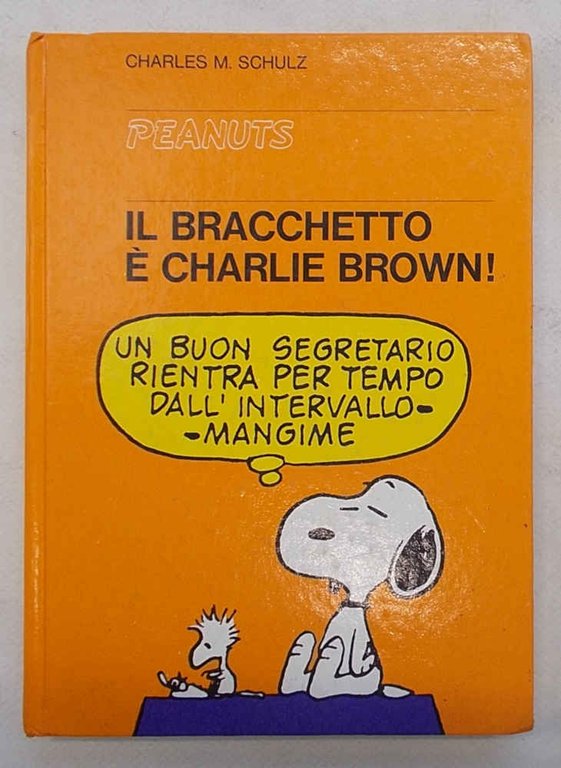 Il bracchetto è Charlie Brown!