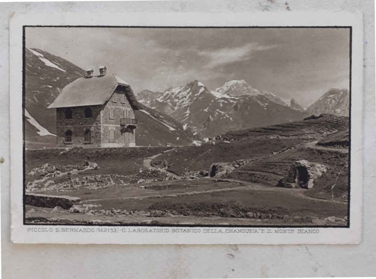 Il laboratorio botanico della Chanousia e il Monte Bianco. Piccolo …