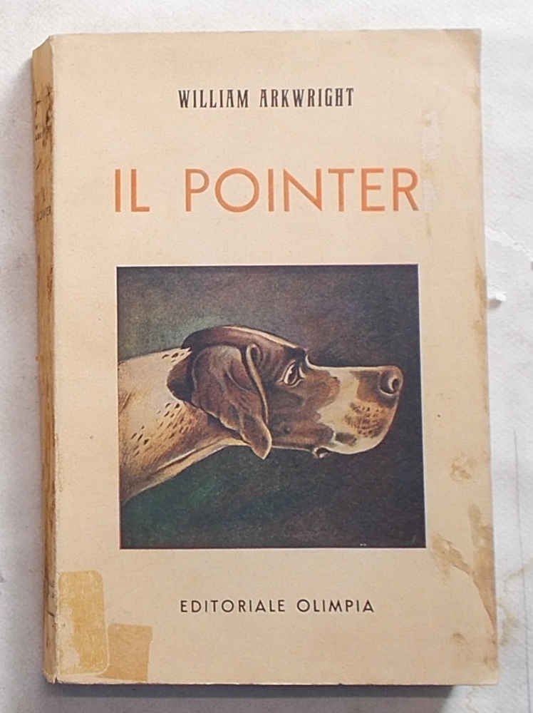 Il pointer.