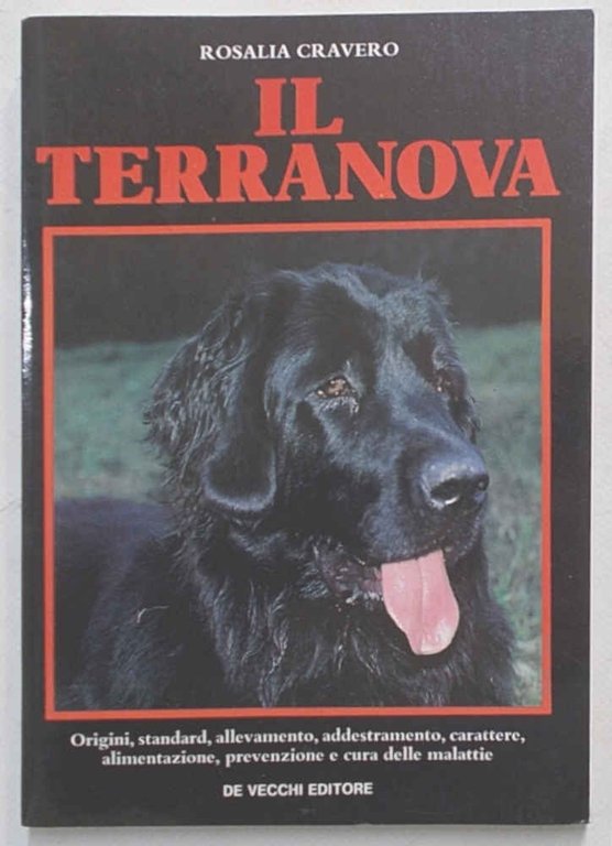 Il Terranova.