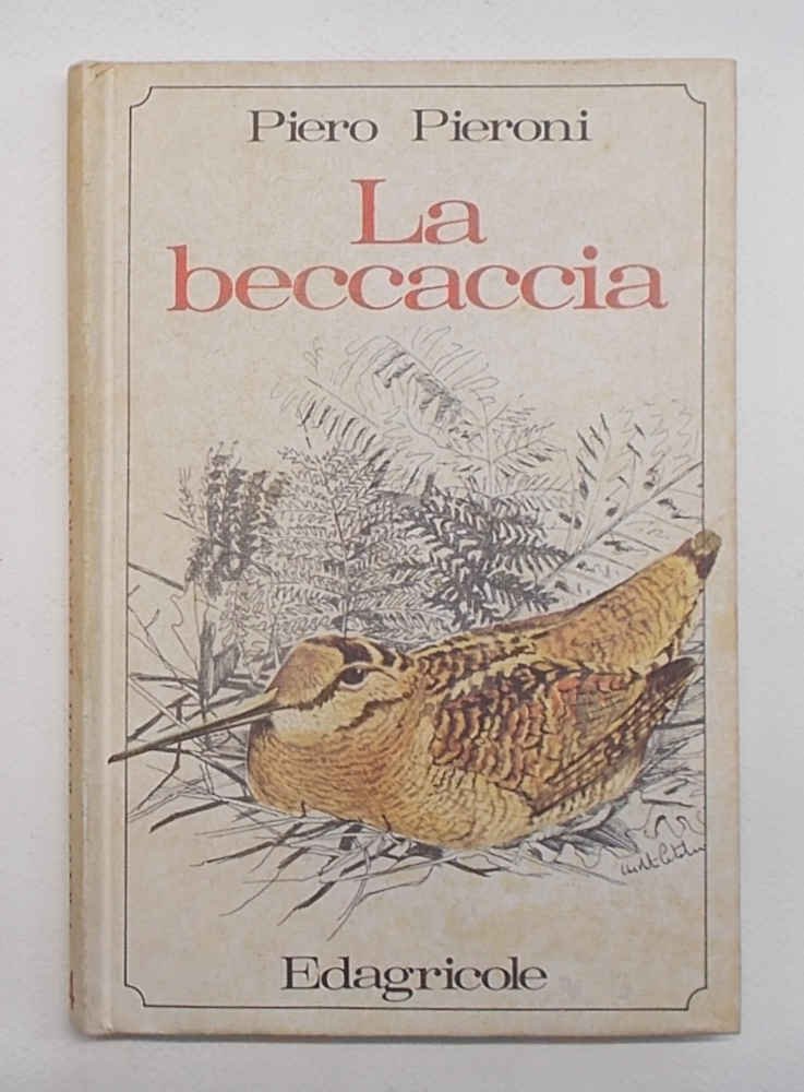 La beccaccia.