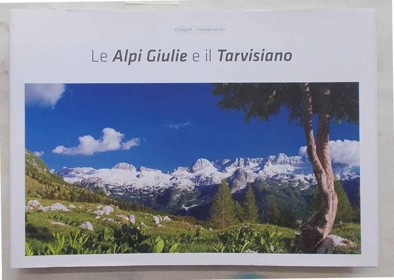 Le Alpi e il Tarvisiano.