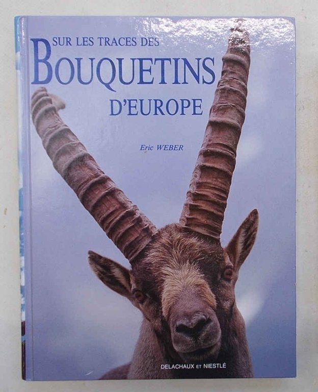 Sur les traces des bouquetins d'Europe.