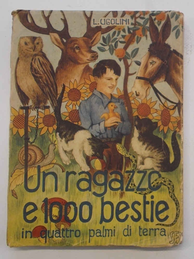 Un ragazzo e 1000 bestie in quattro palmi di terra.