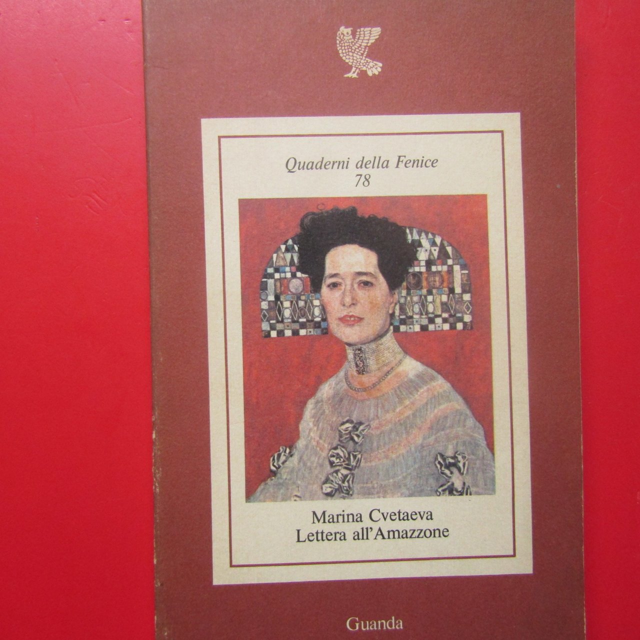 Lettera all'Amazzone