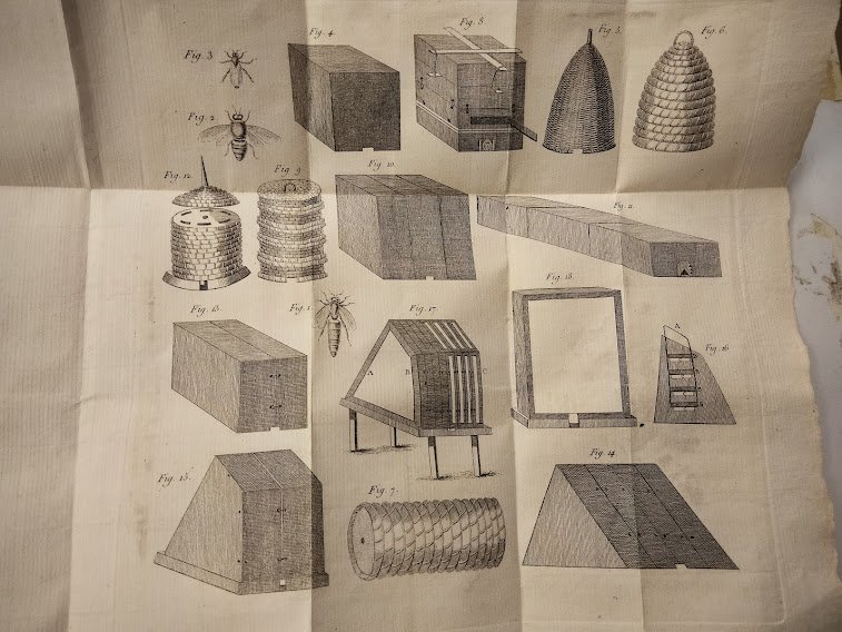 Traite Complet Theorique et Pratique sur les abeilles. Cet Ouvrage, …