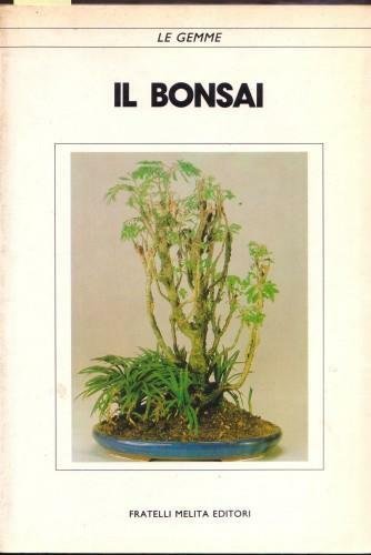 Il bonsai