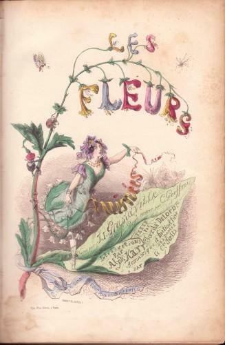 Les Fleurs animées (Deuxième partie) - Botanique des Dames - …