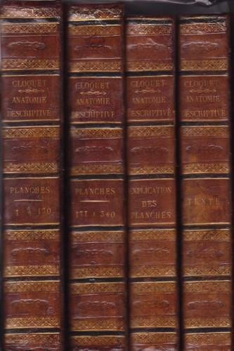 Manuel d'anatomie descriptive du corps humain, représentée en planches lithographiees, … | Immagine Gallery 1