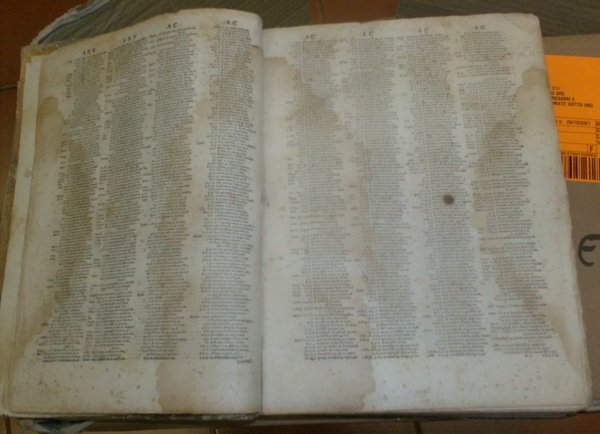 Concordantiae bibliorum utriusque testamenti veteris et novi quas merito maximas …