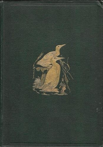 A history of british birds, vol. 4°