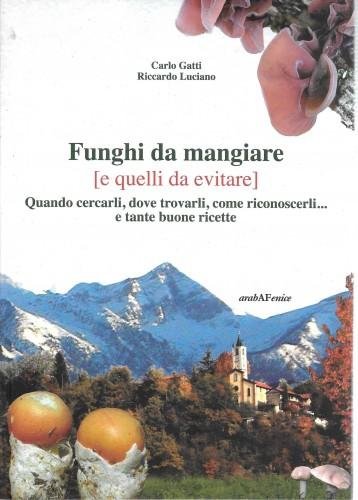Funghi da mangiare (e quelli da evitare). Quando cercarli, dove …
