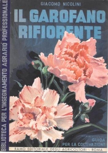 Il garofano rifiorente. Guida per la coltivazione