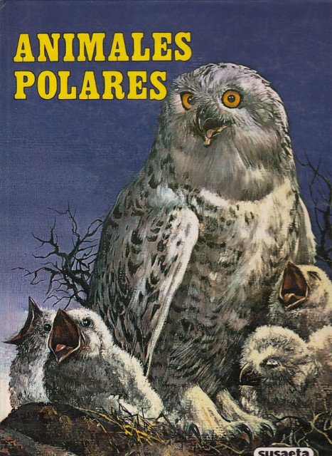 ANIMALES POLARES