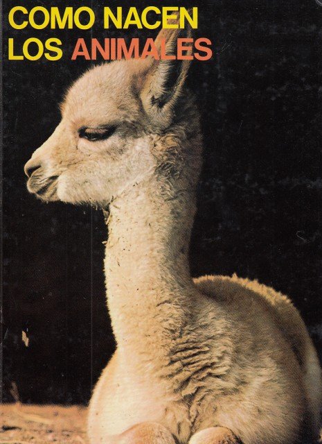 Como nacen los animales